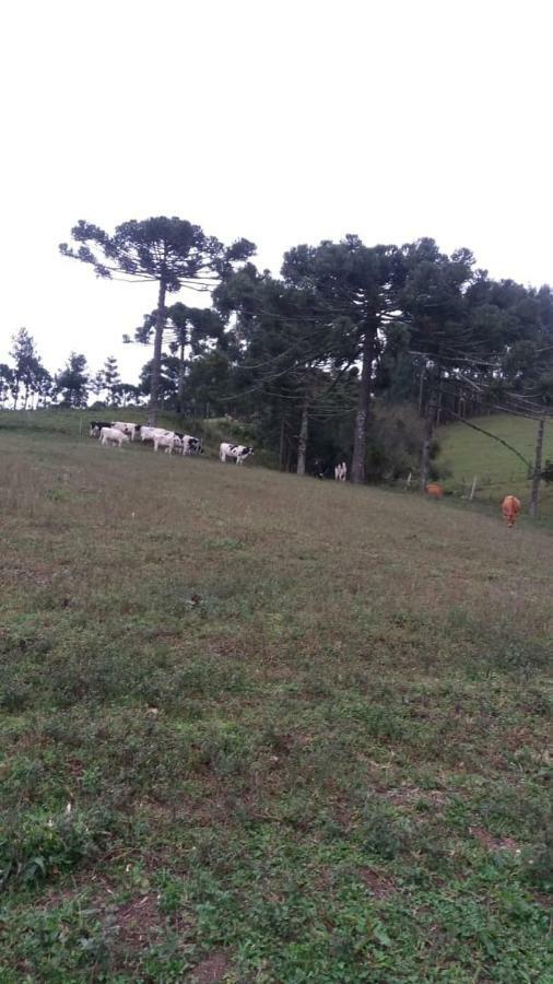 Cantinho Do Sossego Urubici Bagian luar foto